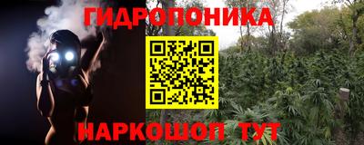 бошки Новокубанск