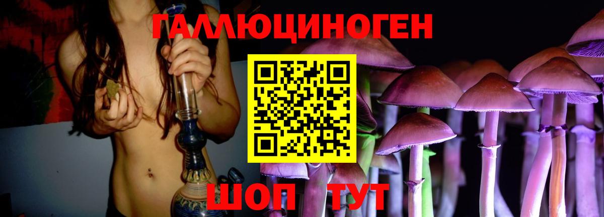 Сокол  Псилоцибиновые грибы GOLDEN TEACHER  Вход с VPN  Галлюциногенные грибы Cubensis 